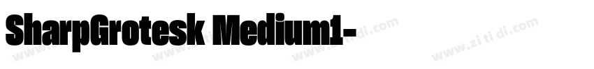 SharpGrotesk Medium1字体转换